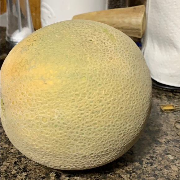 Meet your Posher, Maria - Picture 1 of 1